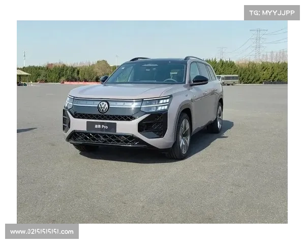 为燃油车转型提供“新动力”，上汽大众全新途昂Pro发布